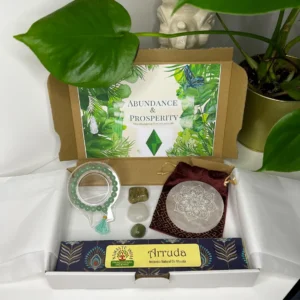 Abundance & Prosperity Kit with Green Aventurine Bracelet, Selenite Plate, Agate Tumblestones, and Arruda Incense for attracting wealth and success.